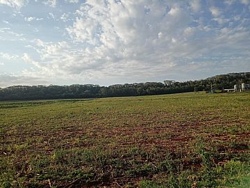 �REA RURAL SANTA HELENA - PR